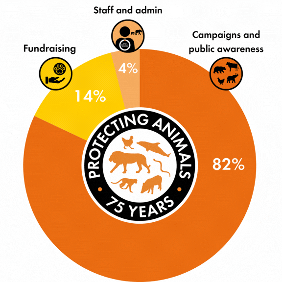 How your money is spent graph