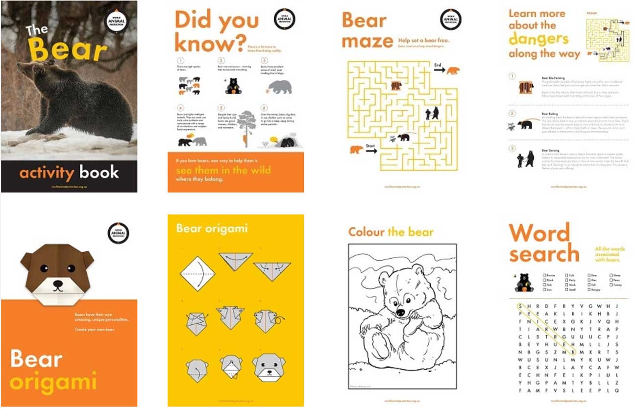 Bear kids activities booklet