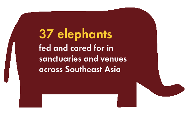 Elephant icon