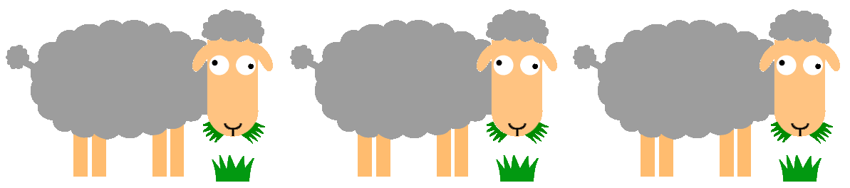 Sheep