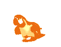 Macaw icon